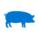 birchlime_icons_icon_lime_pig
