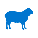 birchlime_icons_icon_lime_sheep