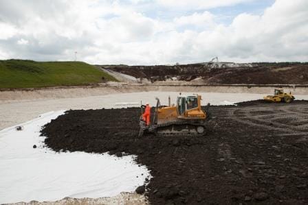 singleton_birch-_landfill